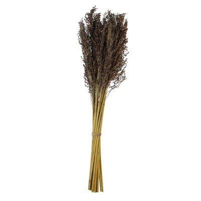 PTMD - Dried flowers lavender