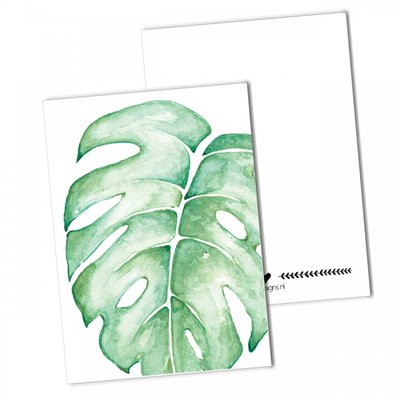 BDdesigns - Card Monstera