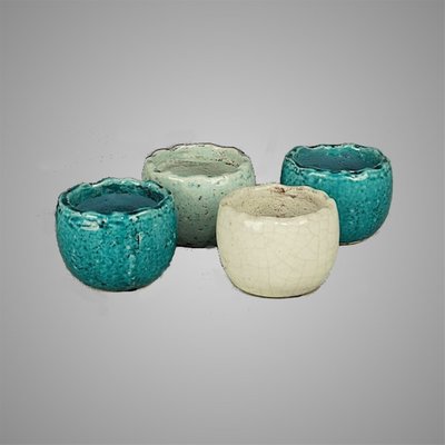 BRYNXZ - Candlecup pre spring white