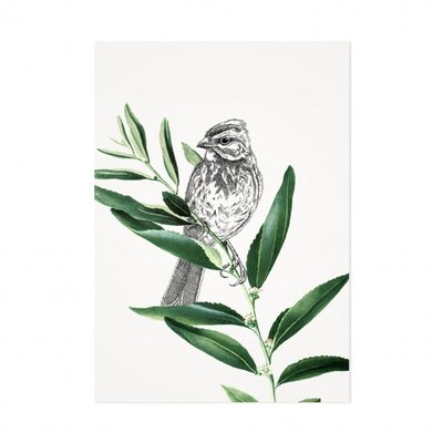 Mélisse - Card The downy woodpecker on leaf