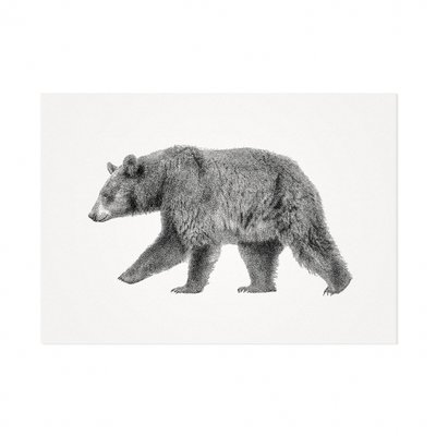 Mélisse - Card The European brown bear