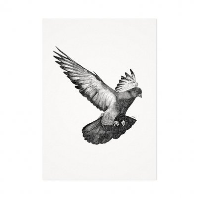 Mélisse - Card The pigeon