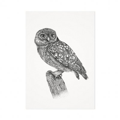 Mélisse - Card The owl