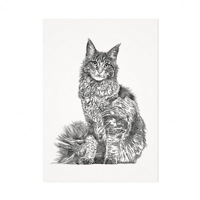 Mélisse - Card The Maine Coon
