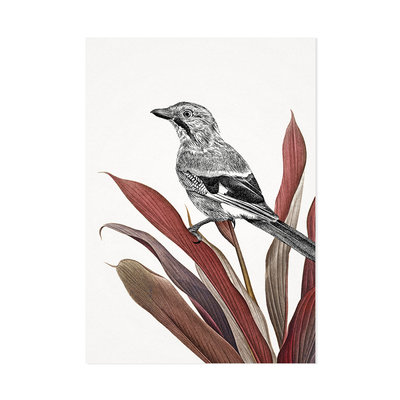 Mélisse - Card The Jay