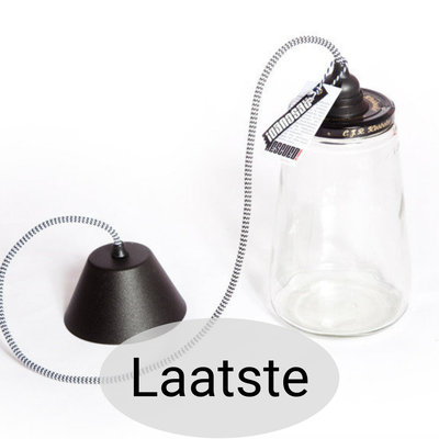 RESCUED! - PickleLight with ceiling cap Large