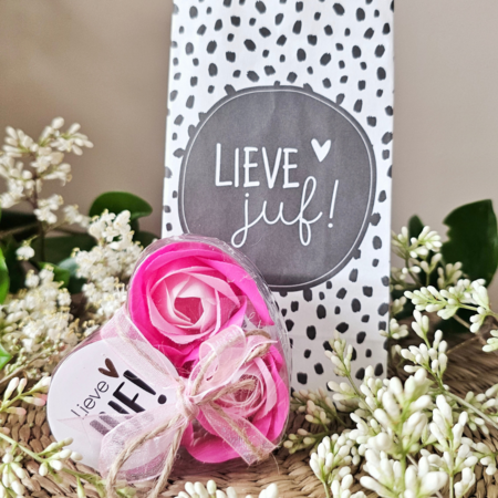 DistelRoos - Soap flowers Cotton candy, set of 3 - Lieve juf